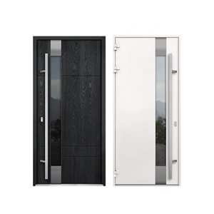 Metal Door