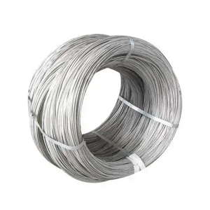 Stainless Steel Wire