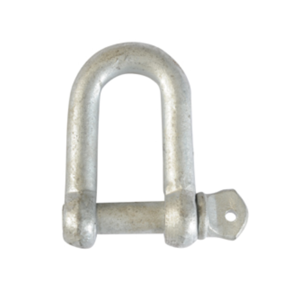 Dee Shackle