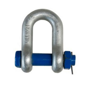 Dee Shackle
