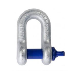 Dee Shackle