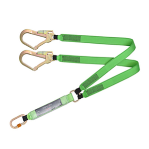 Lanyard