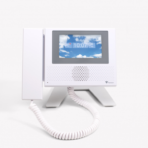 Door Entry Monitor