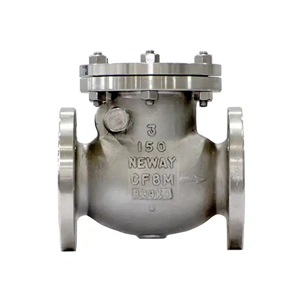 Check Valve