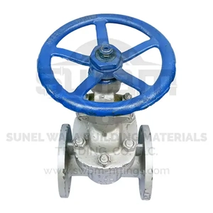 Gate Valve