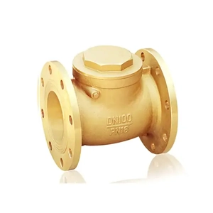 Swing Check Valve