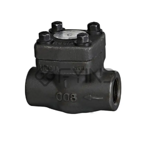 Check Valve