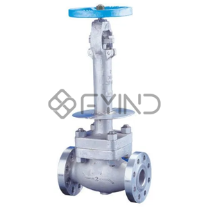 uae/images/productimages/technofit-me-fzco/cryogenic-valve/carbon-steel-cast-cryogenic-valve.webp