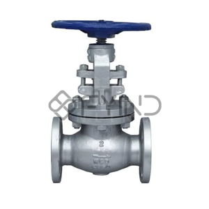 Globe Valve