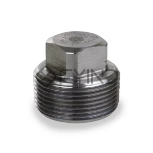 Pipe Plug