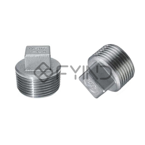 Pipe Plug
