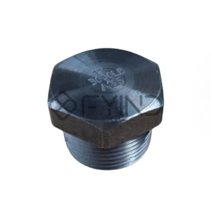 Pipe Plug