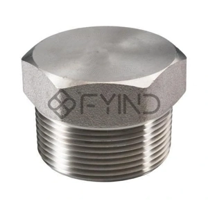 Pipe Plug
