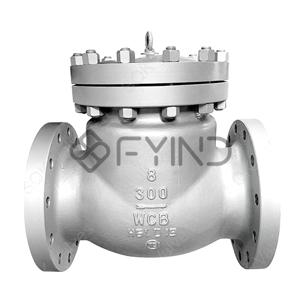 Swing Check Valve