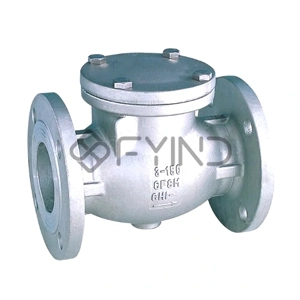 Swing Check Valve