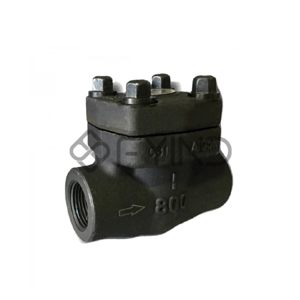 Swing Check Valve