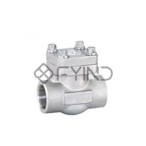 Swing Check Valve