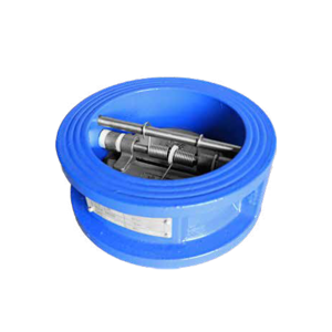Check Valve
