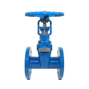 Gate Valve