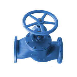 Globe Valve