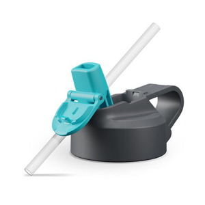 Straw Lid