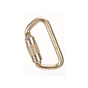 Locking Karabiner