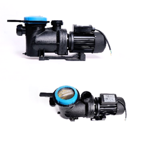 uae/images/productimages/texmo-pumps/water-pump/texmo-swimming-pool-water-pump-tspp-1-5-1-1-kw-15-m.webp