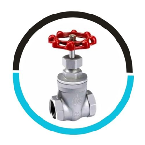 Globe Valve
