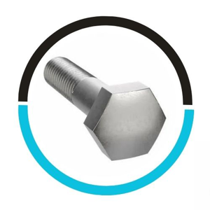 Hexagon Bolt