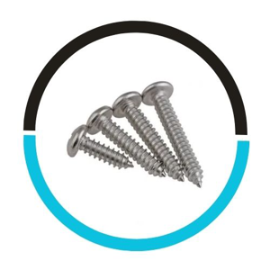 Pan Head Screw