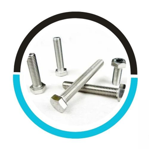 Socket Screw