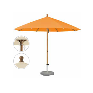 Canopy