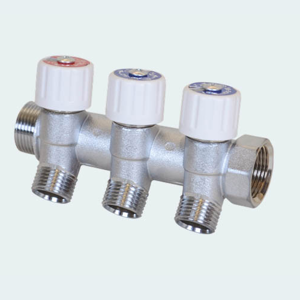 Manifold Valve