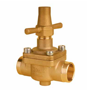 Globe Valve
