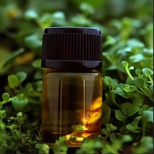Alpha Pinene
