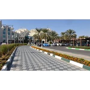 Interlocking Paver Block