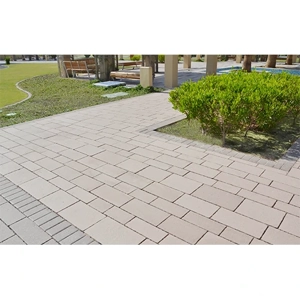 Interlocking Paver Block