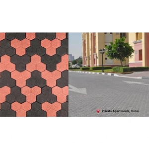 Interlocking Paver Block