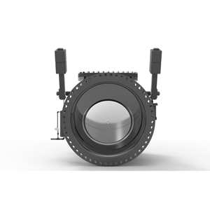 Check Valve