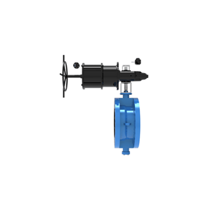 Control Valve