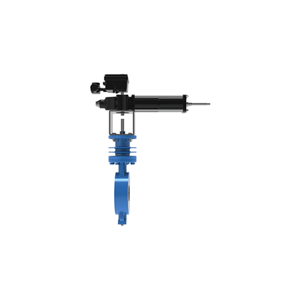 Control Valve