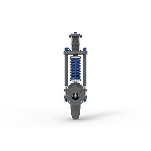 Safety Valve