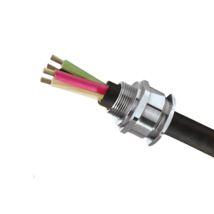 Cable Gland