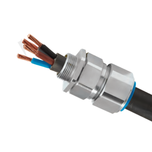 Cable Gland
