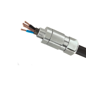 Cable Gland