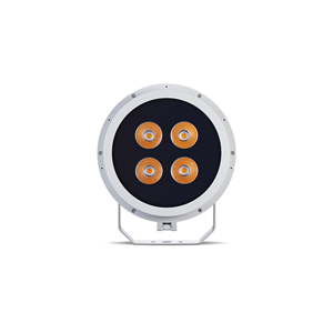 Flood Light