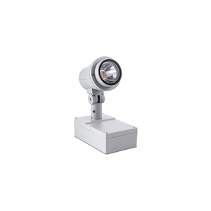 Flood Light