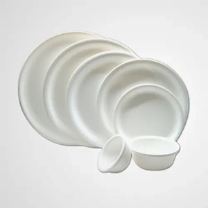 Disposable Foam Plate