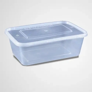 Disposable Plastic Box