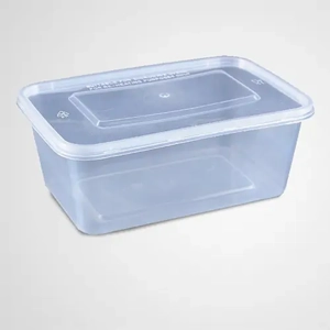 Disposable Plastic Box